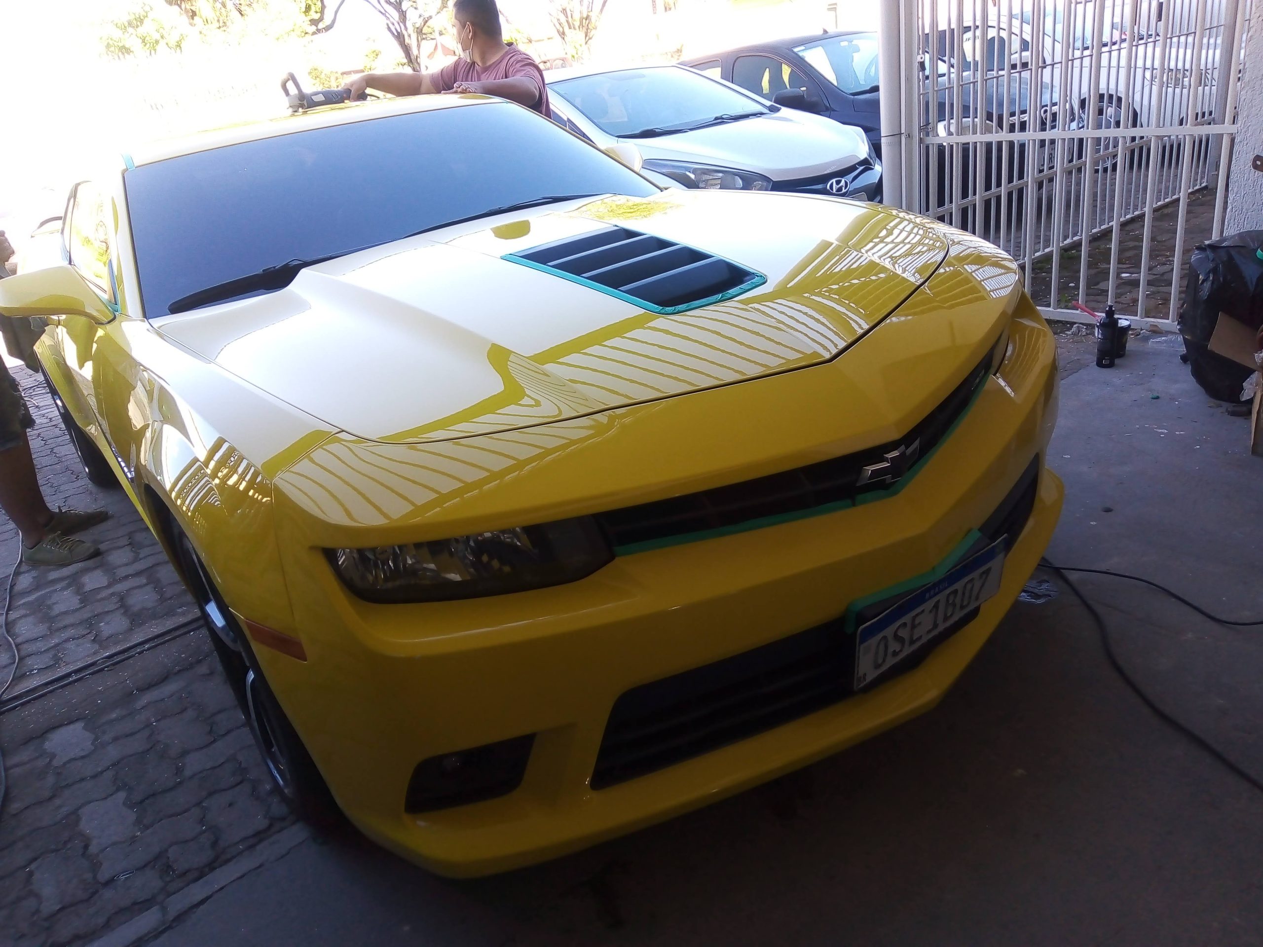 Vitrificação